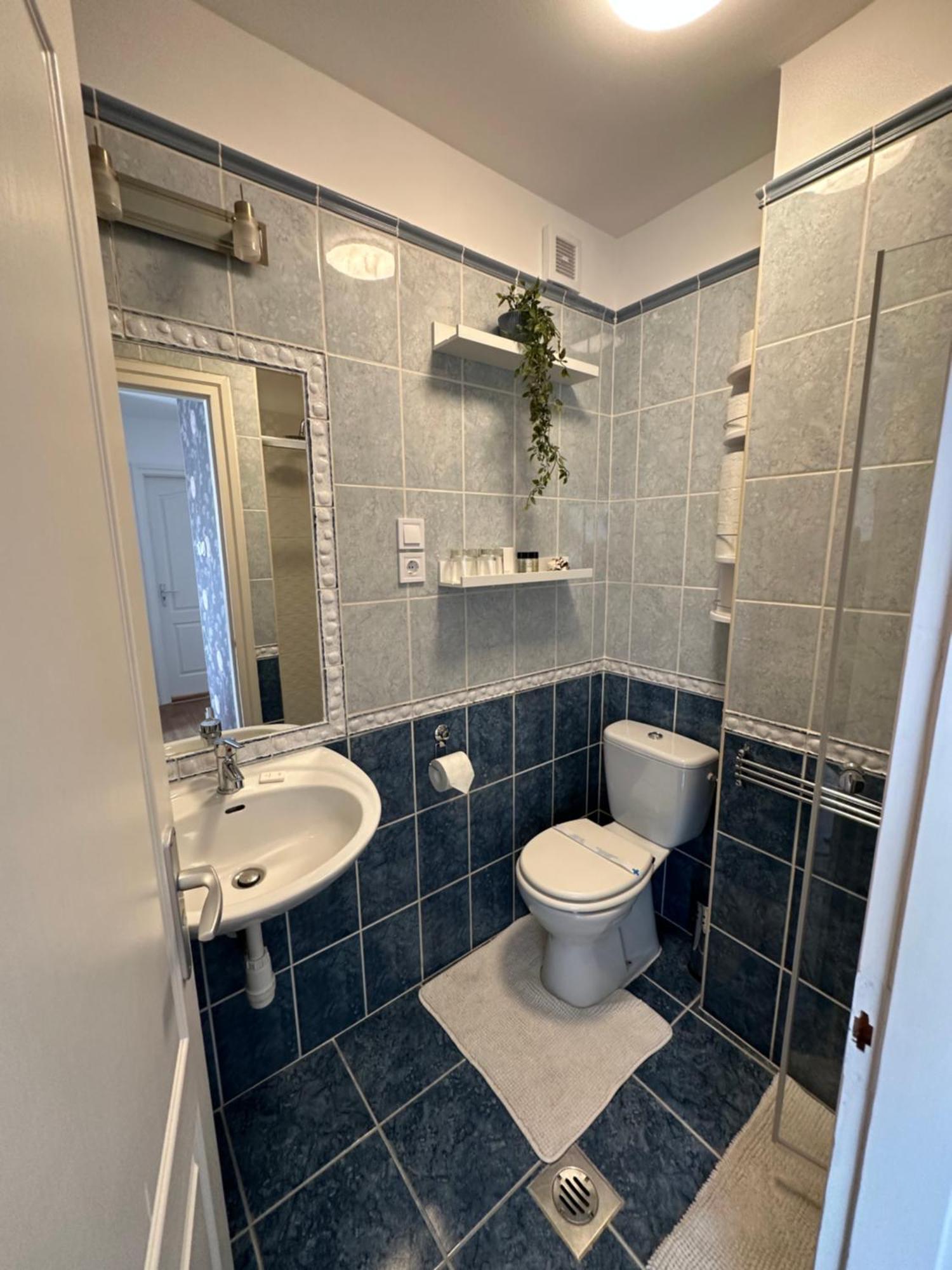 Centroom Apartment بودابست المظهر الخارجي الصورة